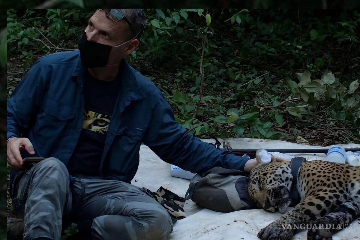 $!ARTICLE 19 exige esclarecer ataque contra Erik Saracho a seis meses del atentado en Nayarit