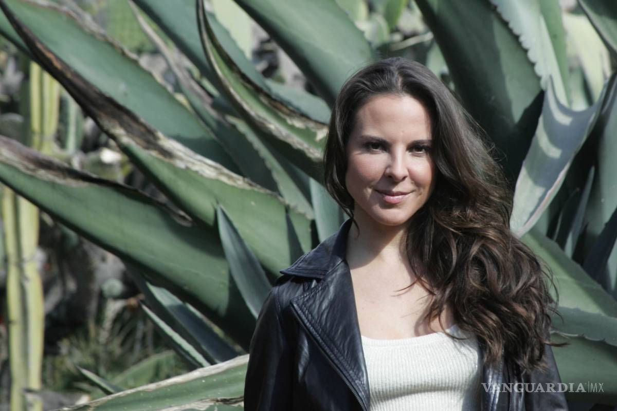 Kate del Castillo podrá acceder a expediente sobre investigación de El Chapo