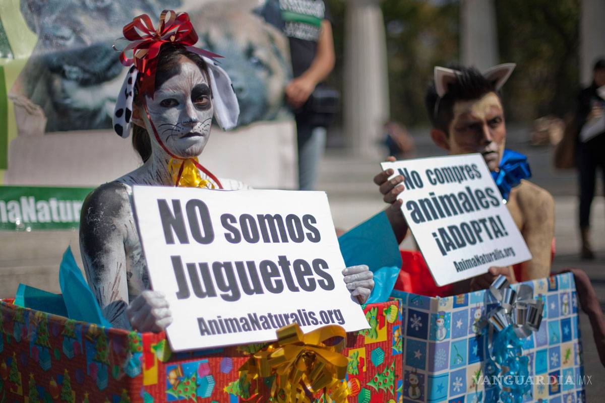 Venden mascotas en redes sociales, a pesar de que la ley lo prohíbe