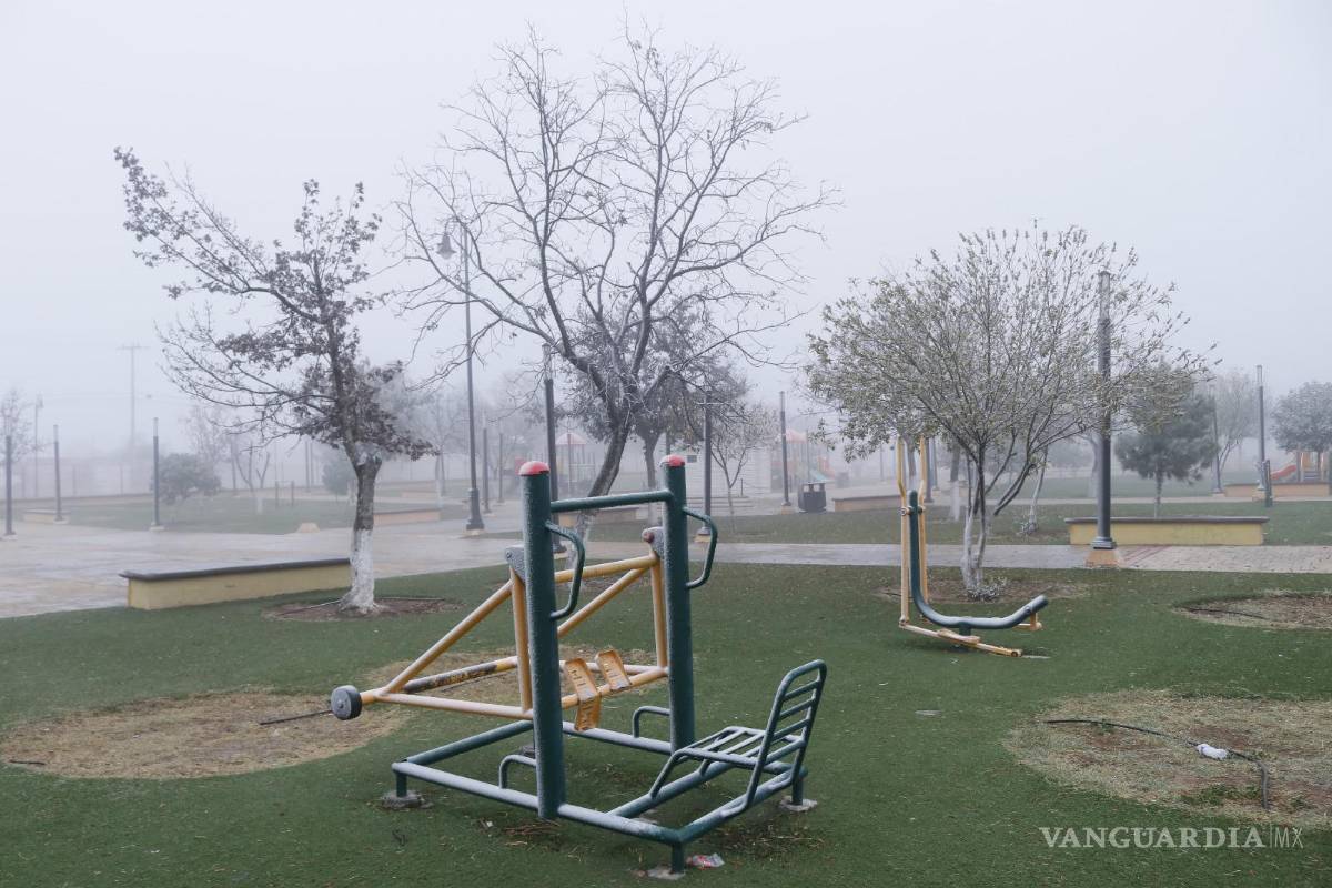 $!Algunos juegos infantiles se encuentran cubiertos de aguanieve.