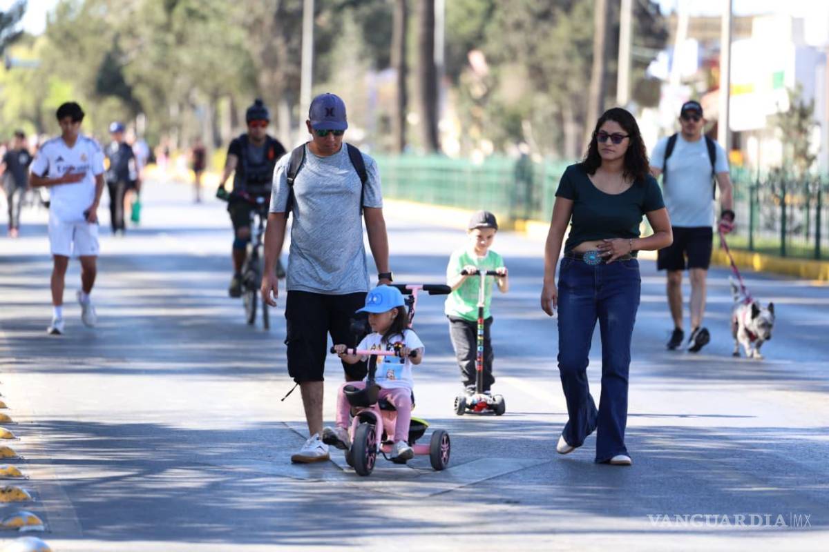 $!La Ruta Recreativa es el espacio ideal para pasear a los pequeñines.