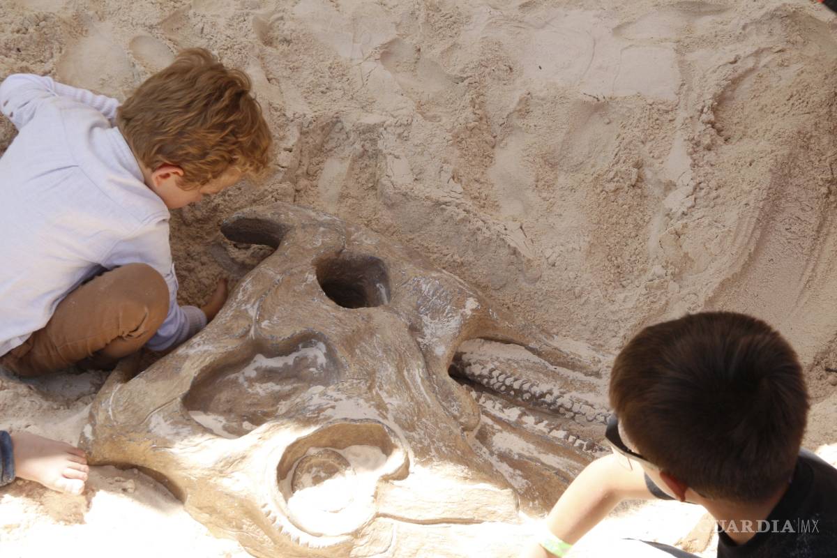 $!¿Vacaciones en Saltillo? La Feria del Desierto te espera