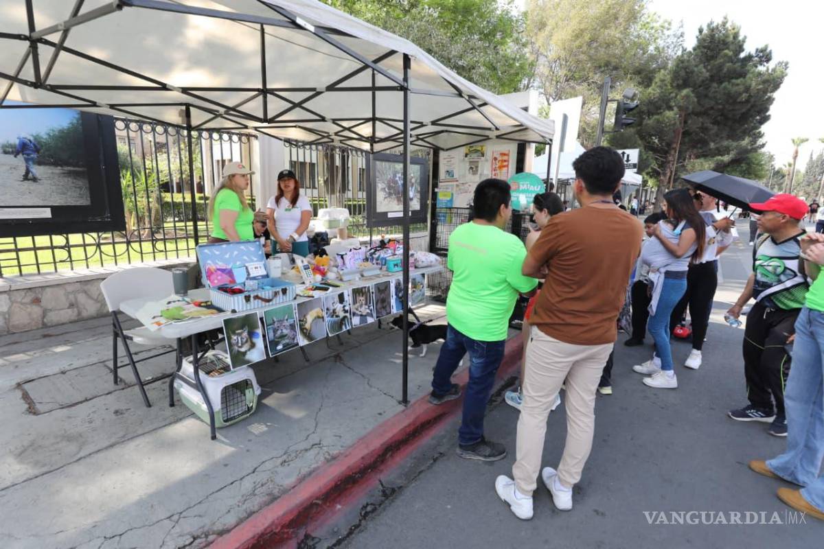 $!Actividades y módulos acompañaron la jornada durante la Ruta Recreativa de este domingo.