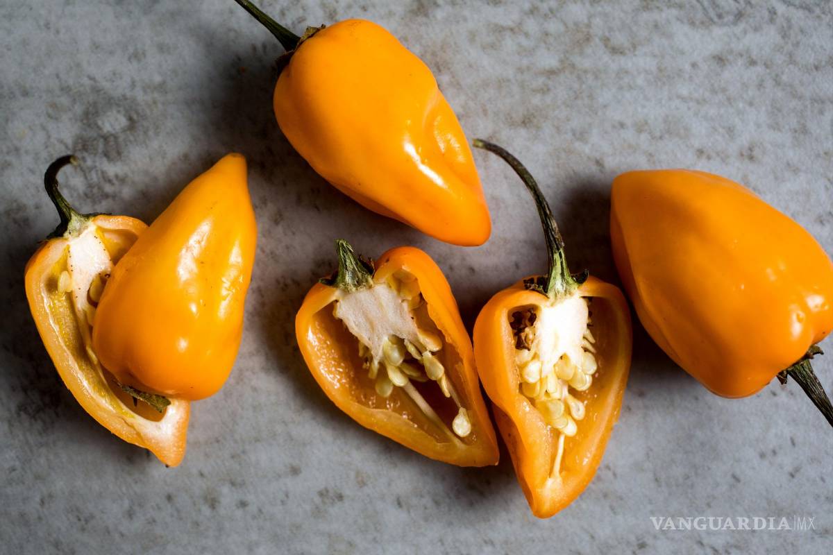 El chile habanero reina en Yucatán, deja que también reine en tu cocina