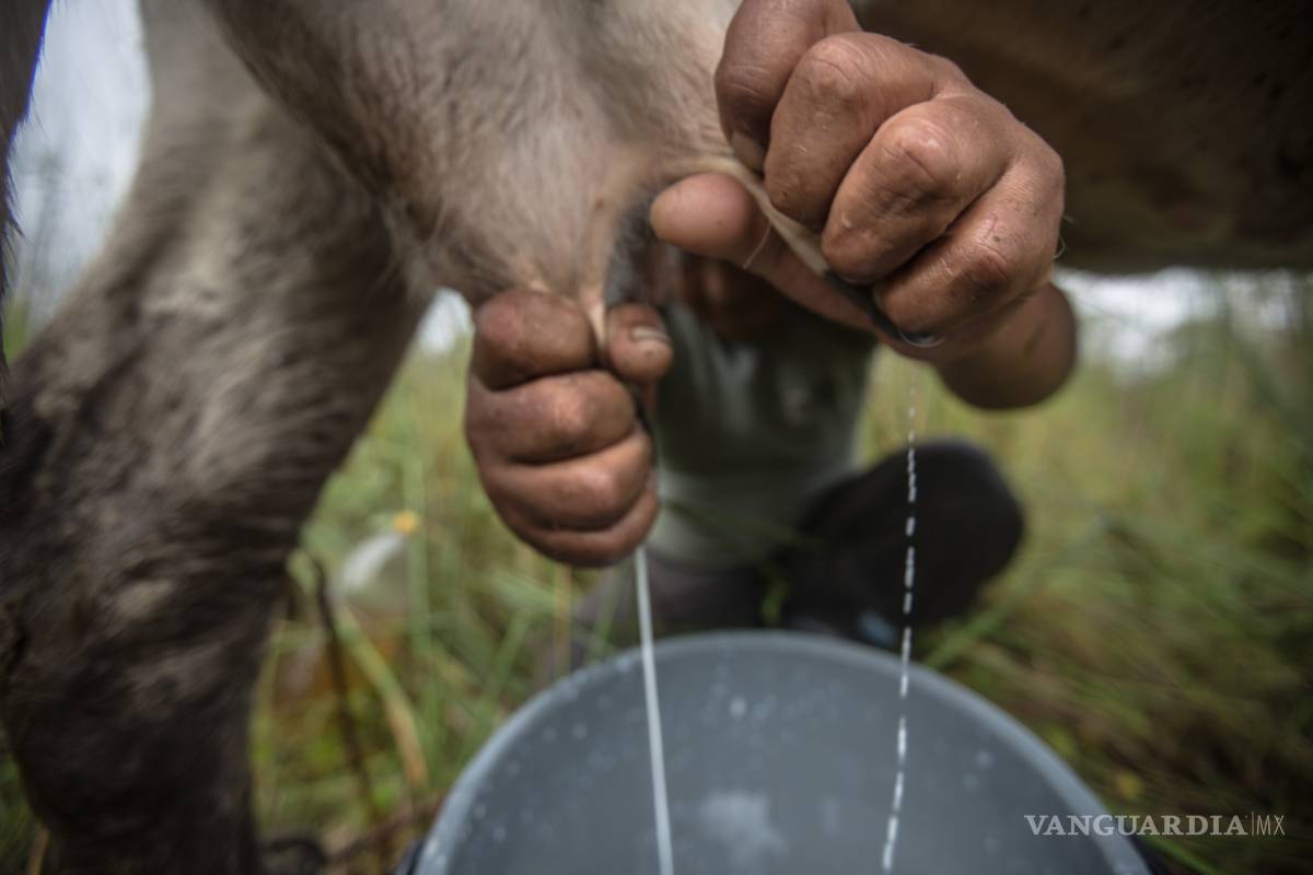 $!El calcio de la leche