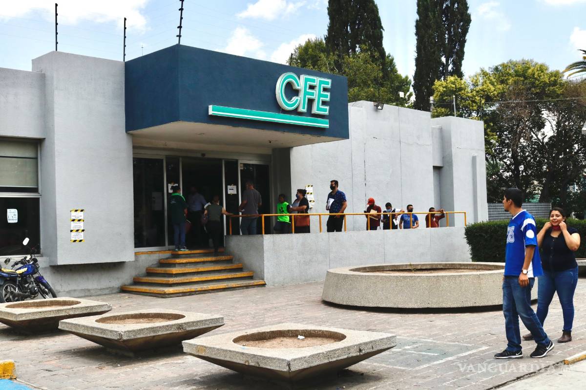 Empresas privadas controlan el 45% de la energía eléctrica del país