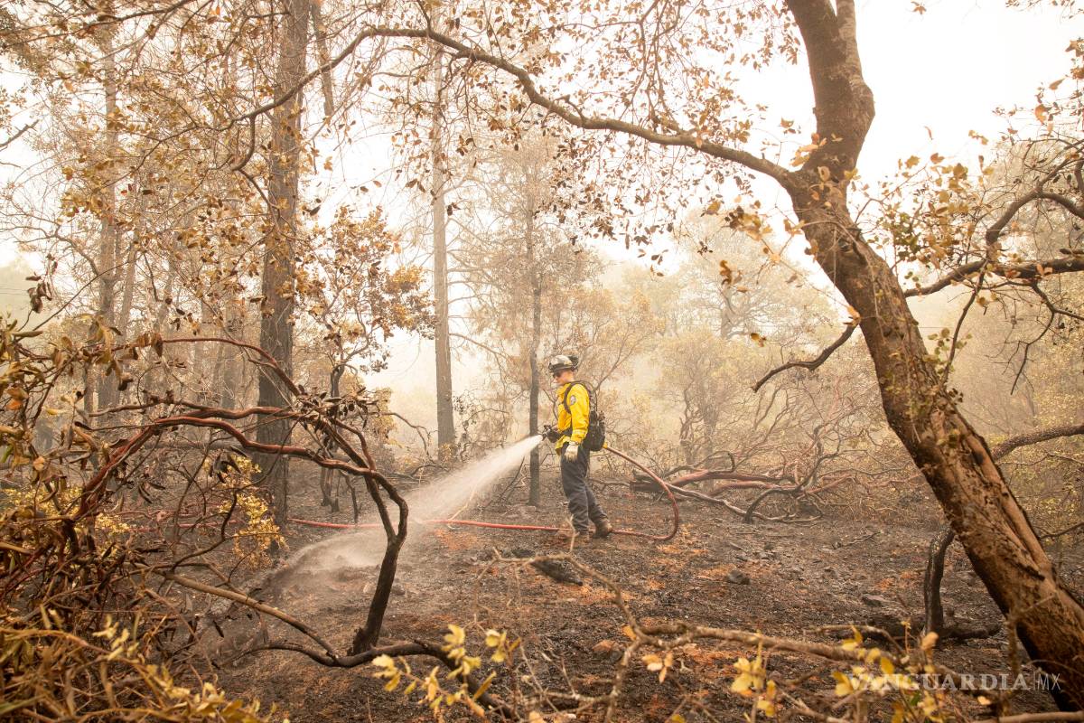 Da respiro a bomberos buen clima en California