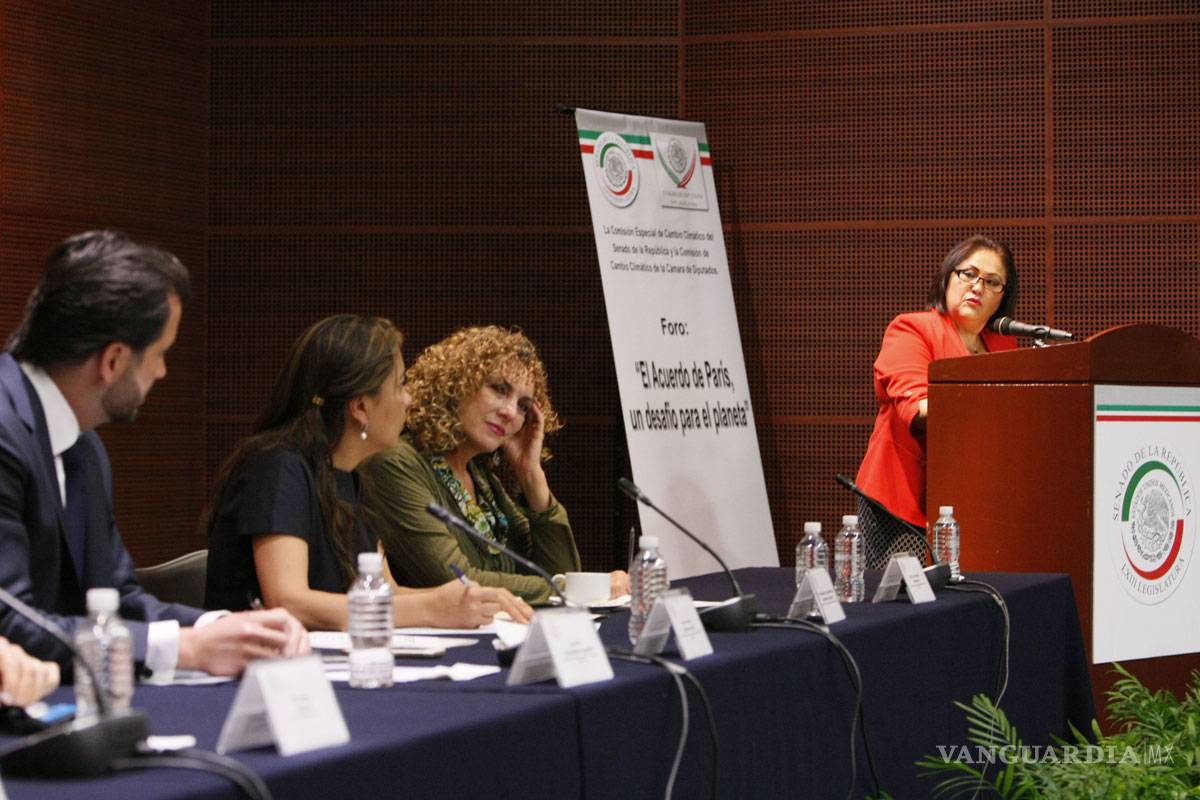 El cambio climático no es un riesgo, es una realidad: Silvia Garza