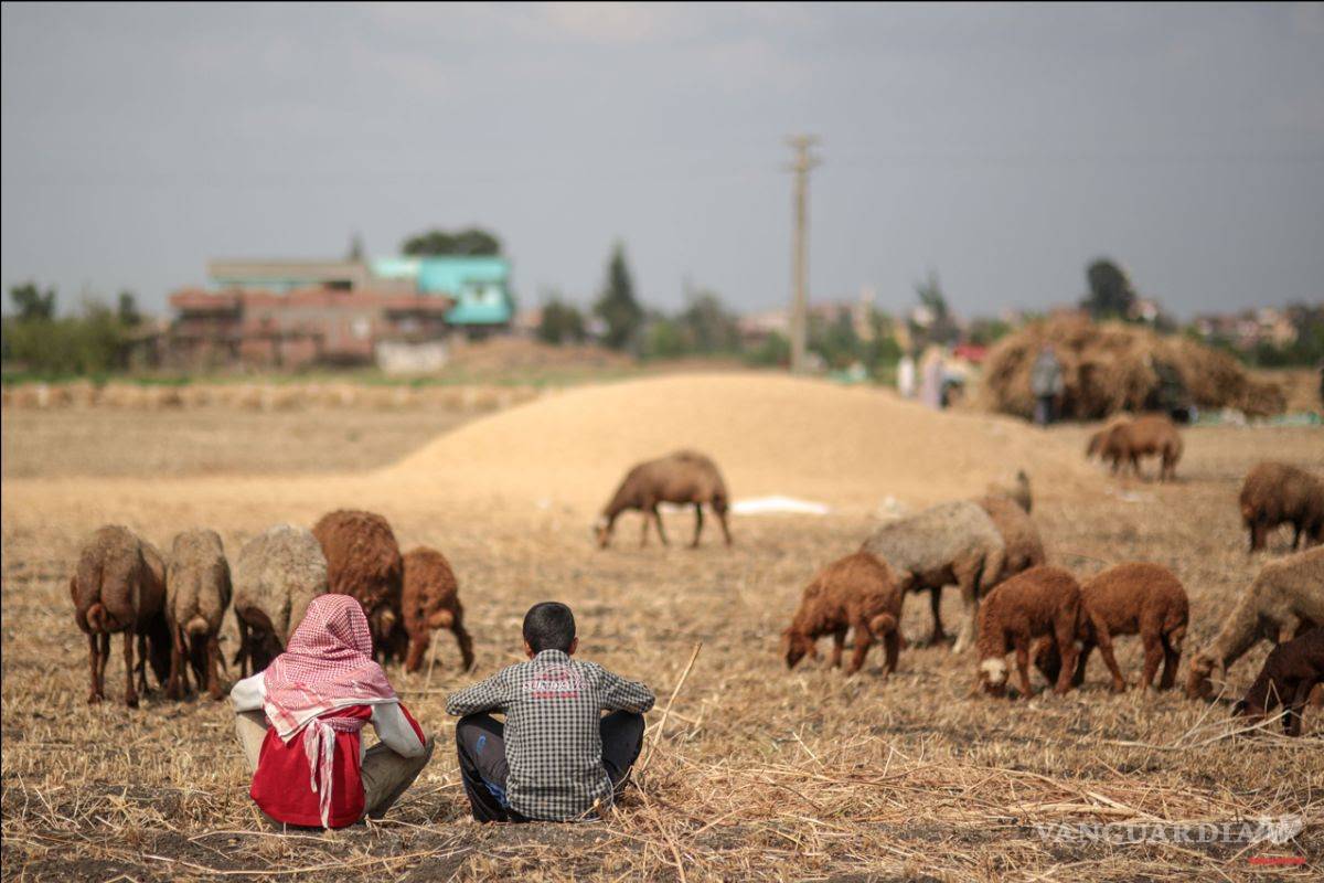Jugo Naranja: Sale a la luz principal operador de la Estafa maestra