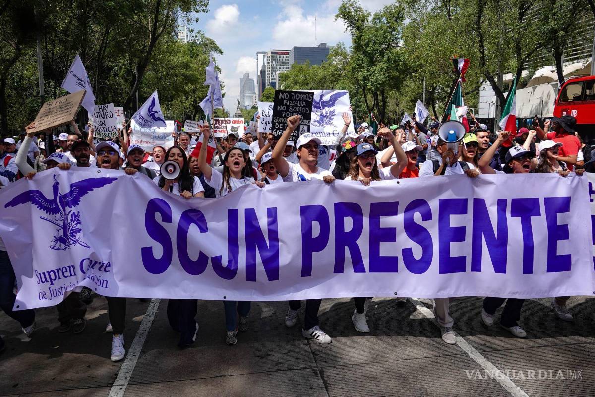 Poder judicial: Cuando los patos le tiran a las escopetas