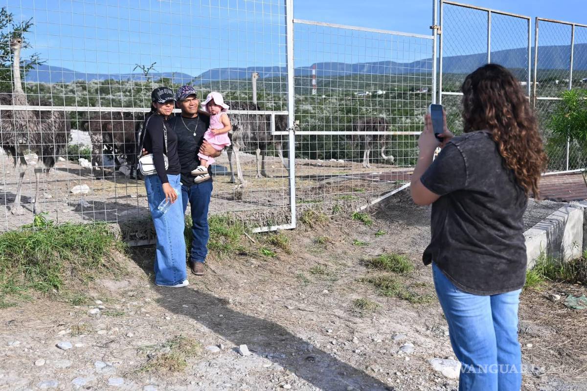 $!El zoológico del Ecoparque alberga diversas especies que se han convertido en uno de los principales atractivos para los visitantes.