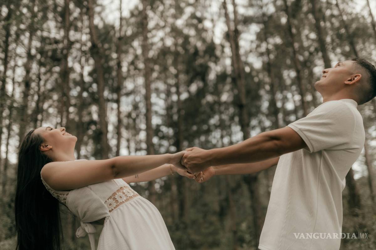 Teoría del pájaro: el test viral de TikTok que revela si tu relación está realmente conectada