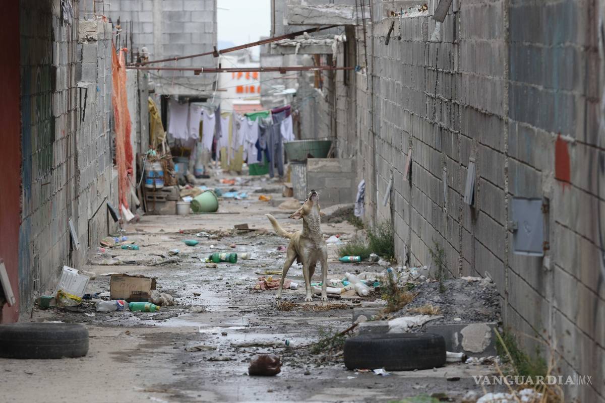 $!Así es la vida en la Ciudad Mirasierra