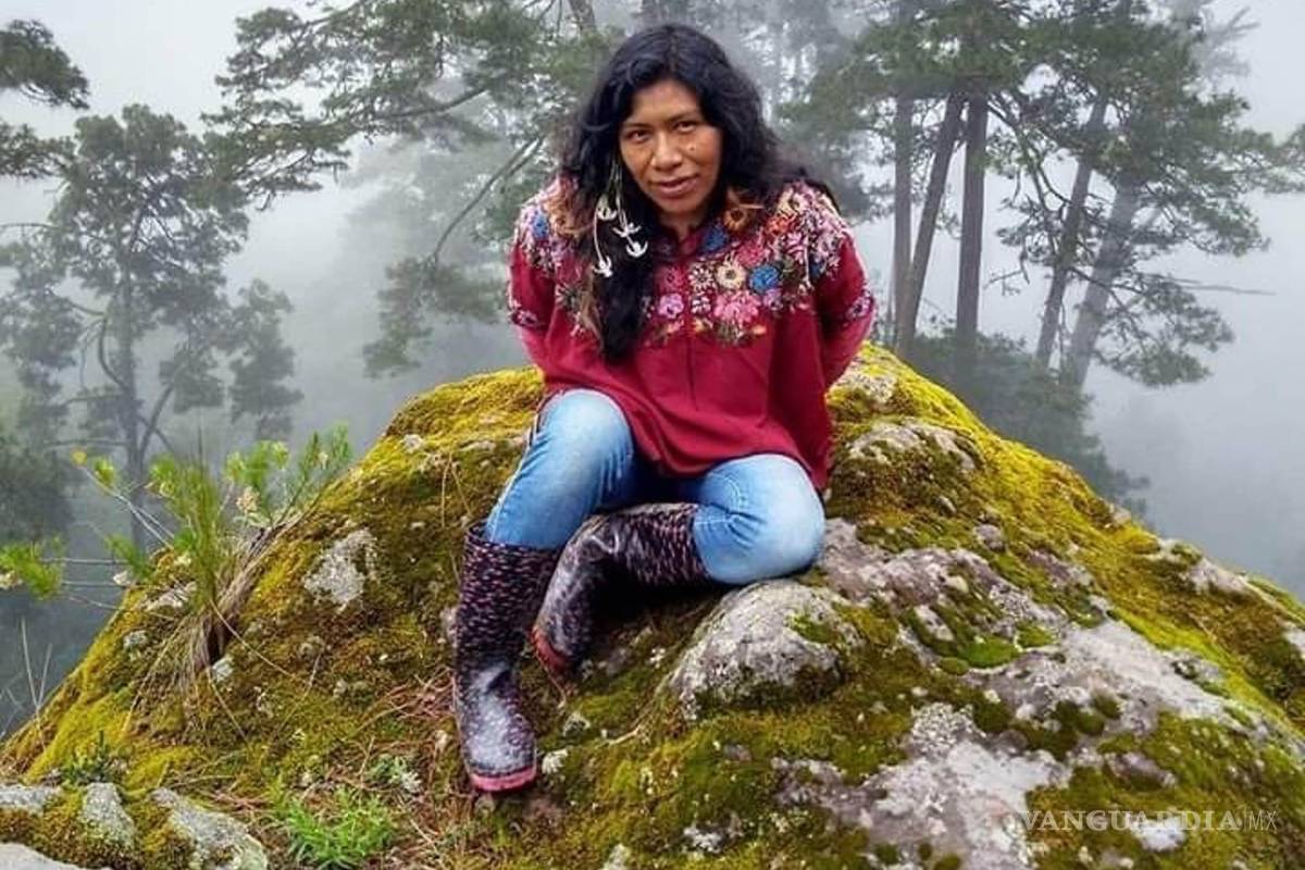 Desaparece en Oaxaca la defensora de los bosques Irma Galindo