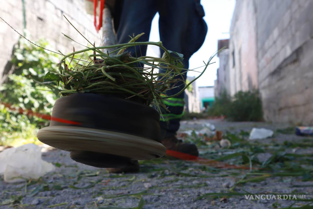 $!Brigadas municipales realizan deshierbe y retiro de basura en la colonia Vicente Guerrero.