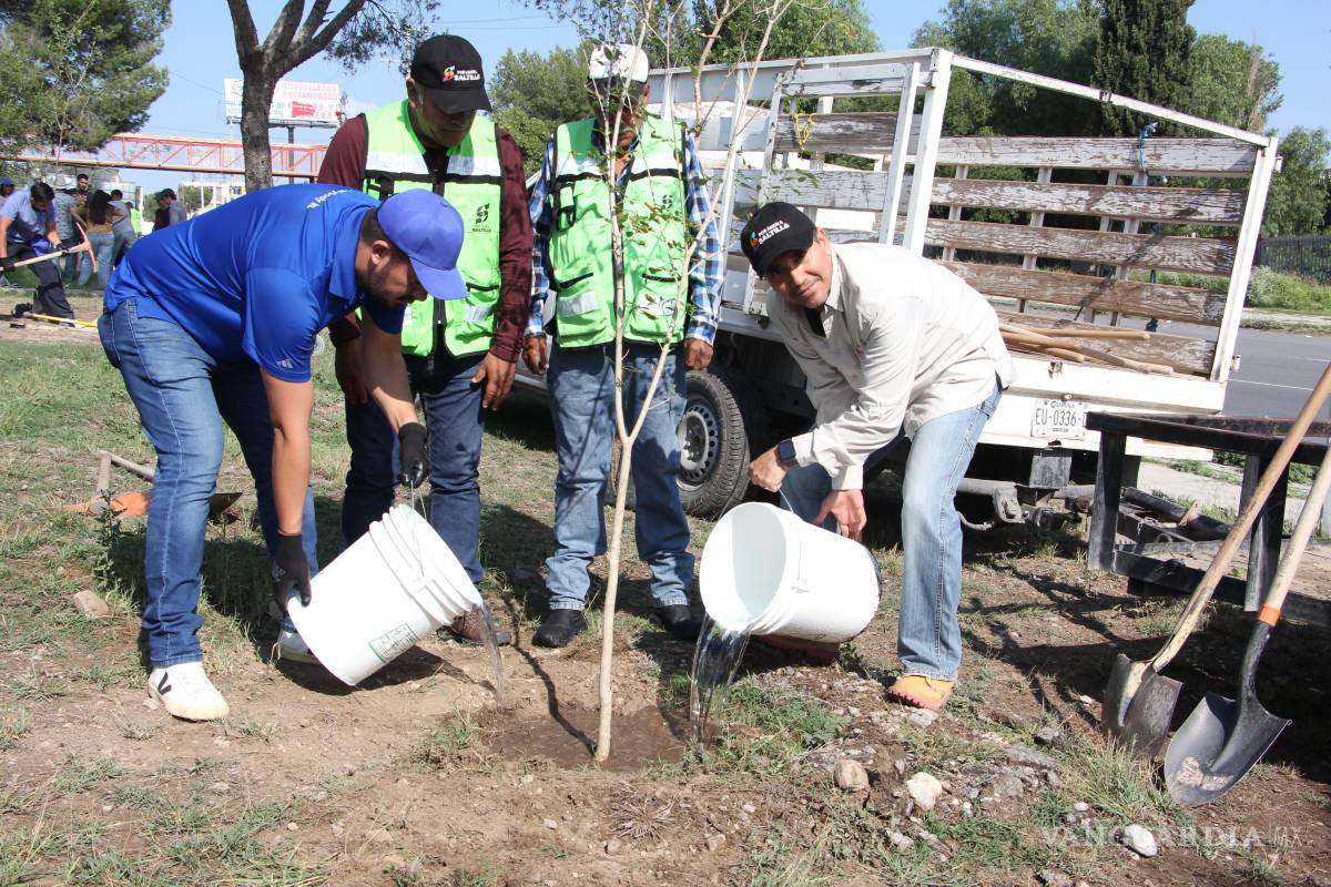 Saltillo impulsa acciones de reforestación con apoyo de empresas como GM