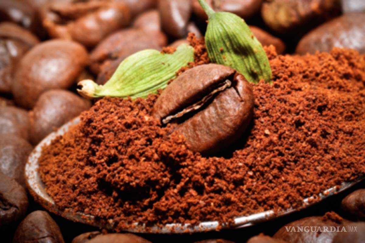 Gobierno se une con Nestlé y Starbucks para rescatar al café mexicano