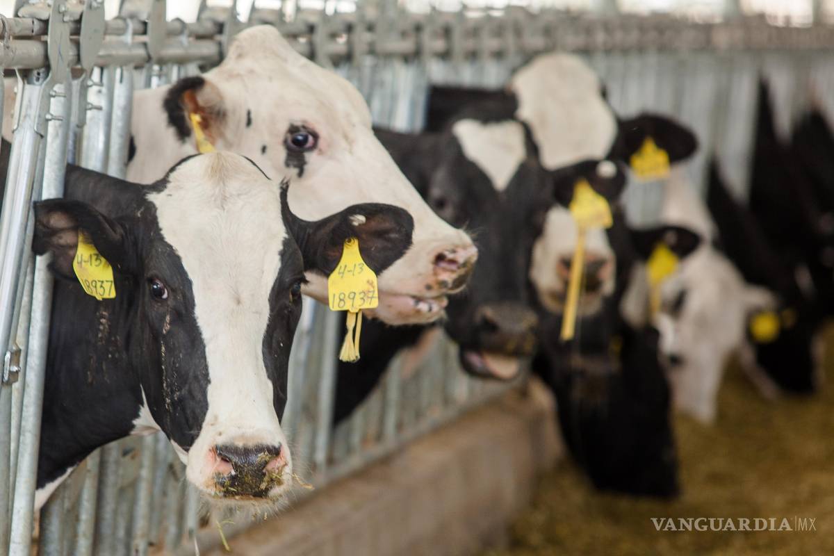 Demandan productores de leche precios competitivos y seguridad comercial