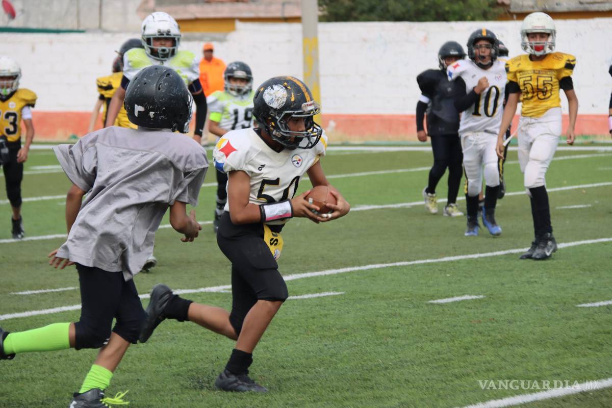 $!Aguilas de Saltillo y Acereros inician la jornada dominical a partir de las 10:00 am en las tres categorías prejuveniles Pee Wee, Midget y Junior Bantam.