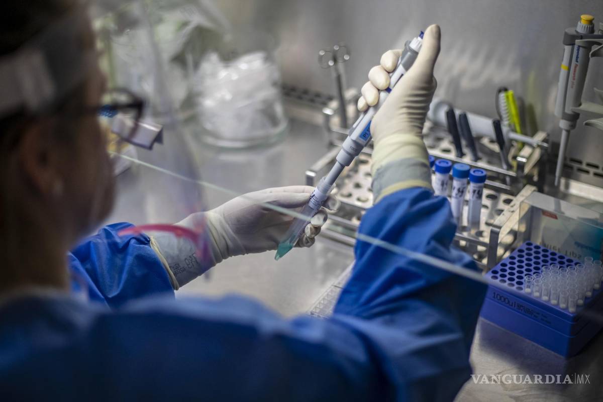 Continúa el enigma de la hepatitis infantil aguda de causa desconocida