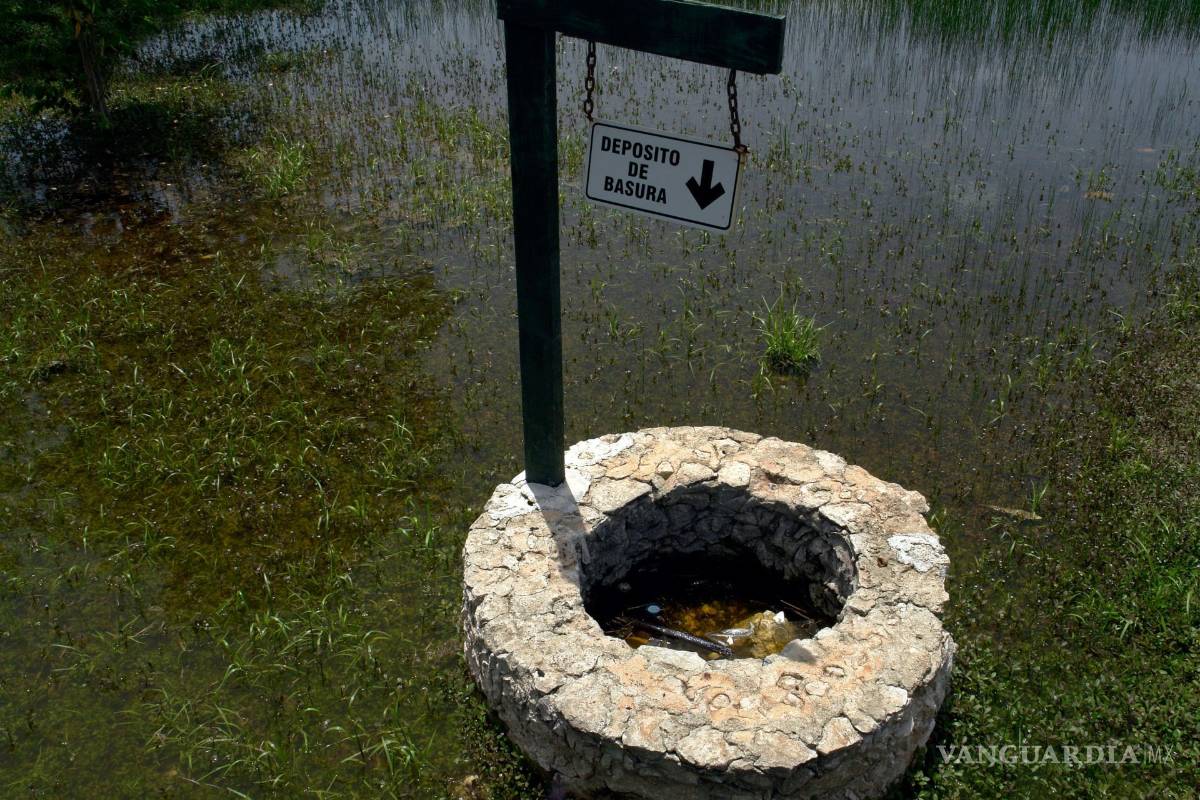Concentra Región Laguna el dengue en Coahuila