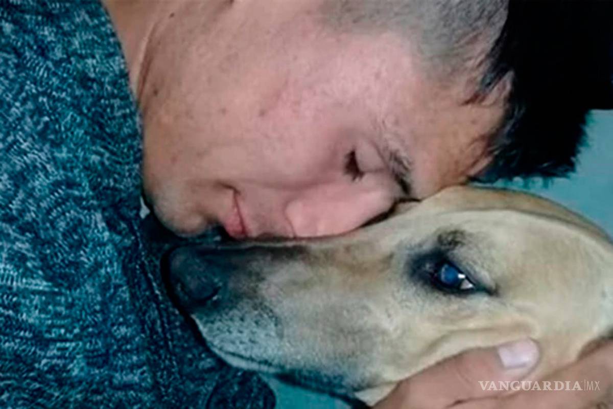 Le roban su perro y ofrece su carro para recuperarlo, “vale mucho más”