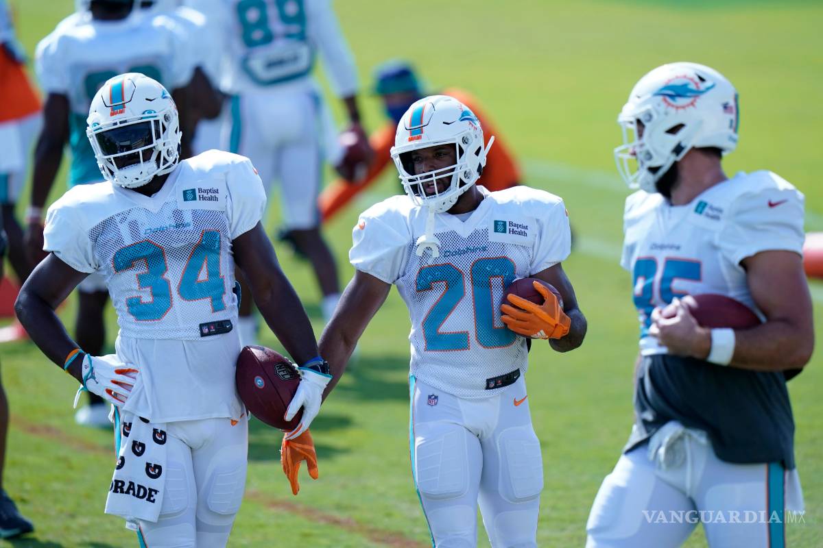 Los Dolphins permitirán público en su primer partido