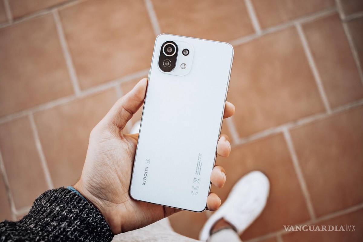 $!En los últimos tres años, las marcas chinas han ganado más de 12 puntos porcentuales de participación de mercado en México.