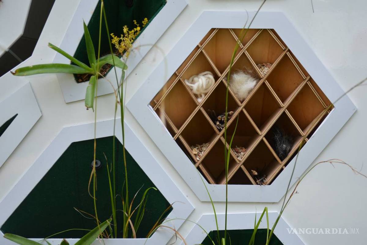 $!Pon a tu casa una piel verde