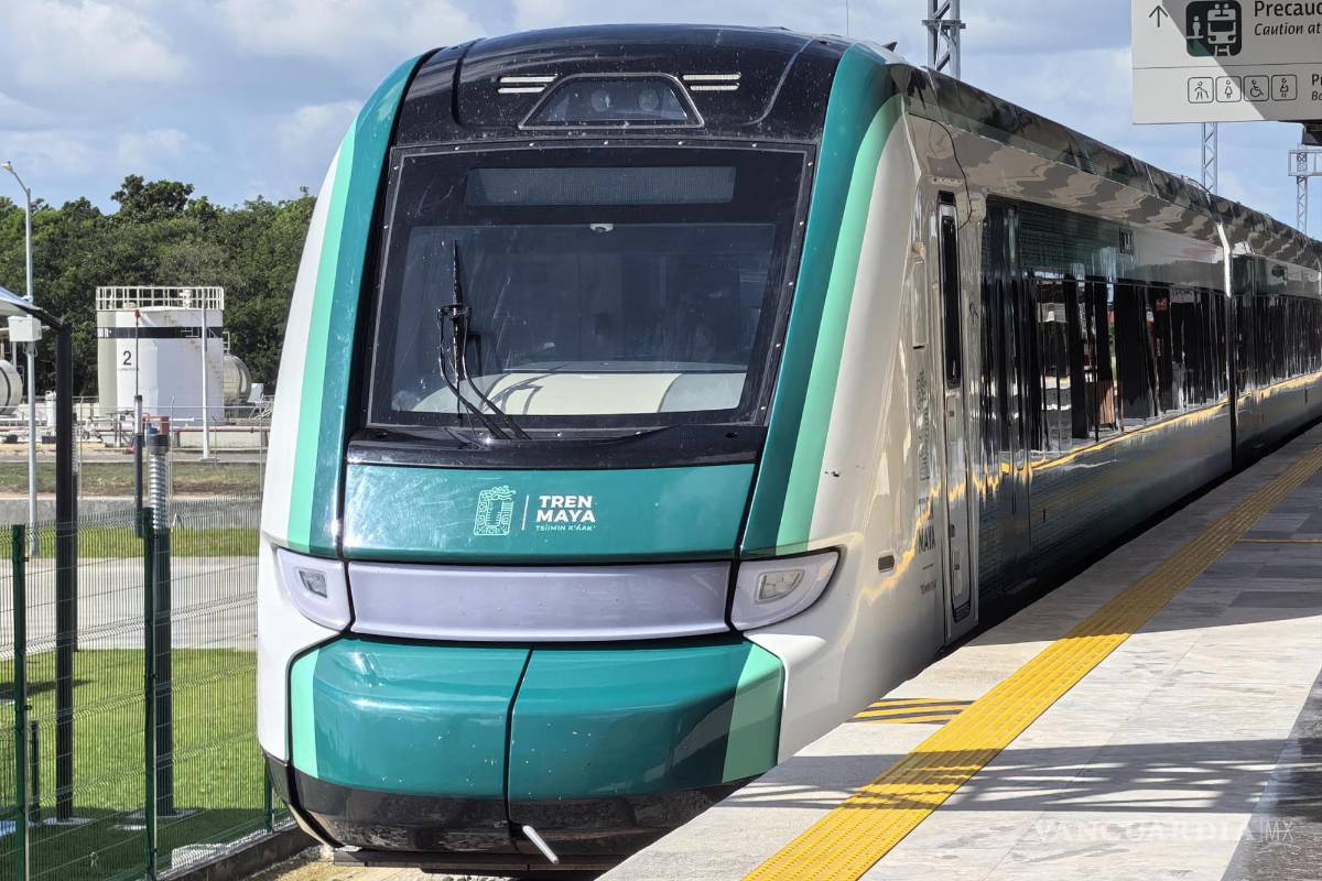 Capacitarán sobre medio ambiente al personal del Tren Maya