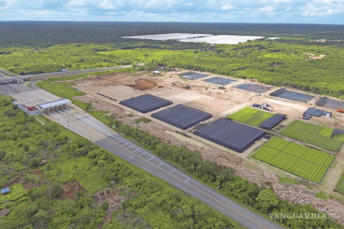 Cuotas ilegales exigen técnicos de Sembrando Vida a campesinos