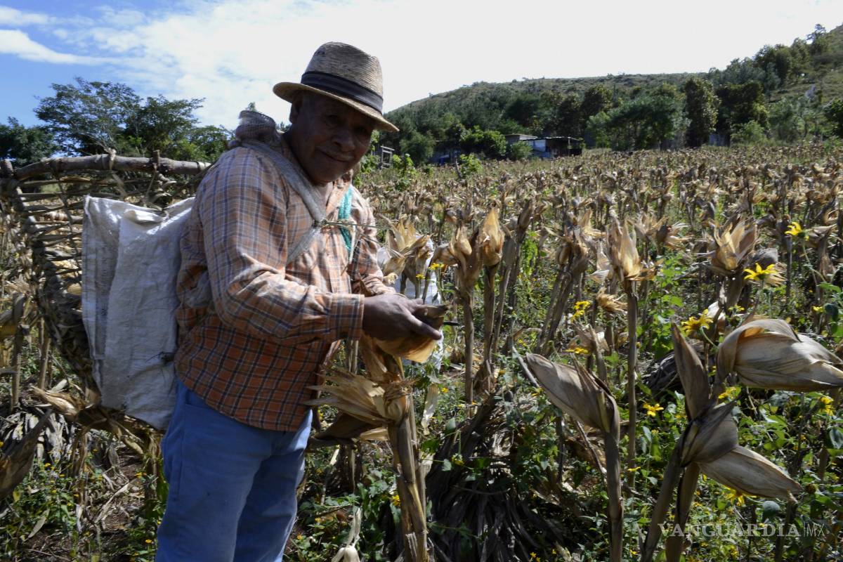 Ordenan a Segob pagar a campesinos