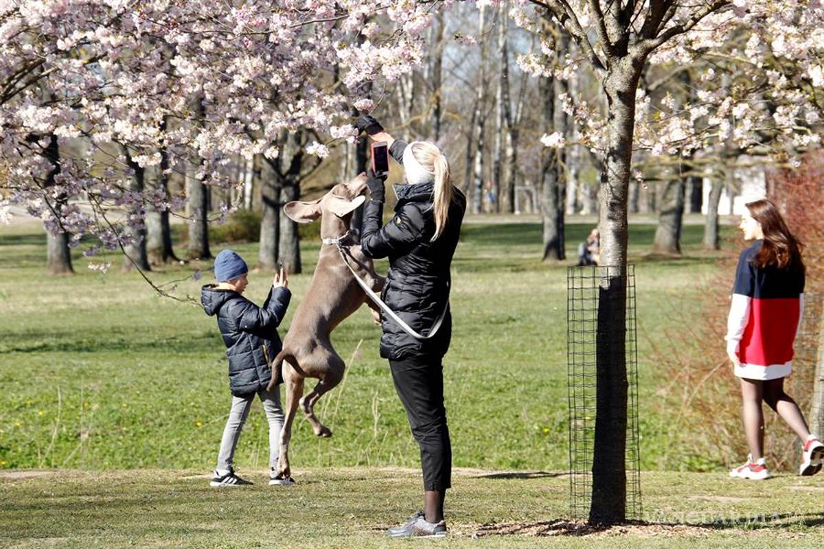 Países bálticos empiezan a levantar las restricciones impuestas para evitar contagios de COVID-19 escalonadamente