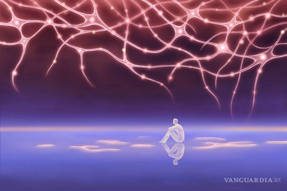 ¿Cómo es el cerebro de una persona solitaria?