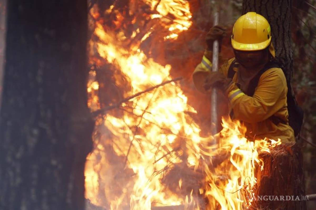 Se eleva a 11 los muertos por los incendios forestales en Chile
