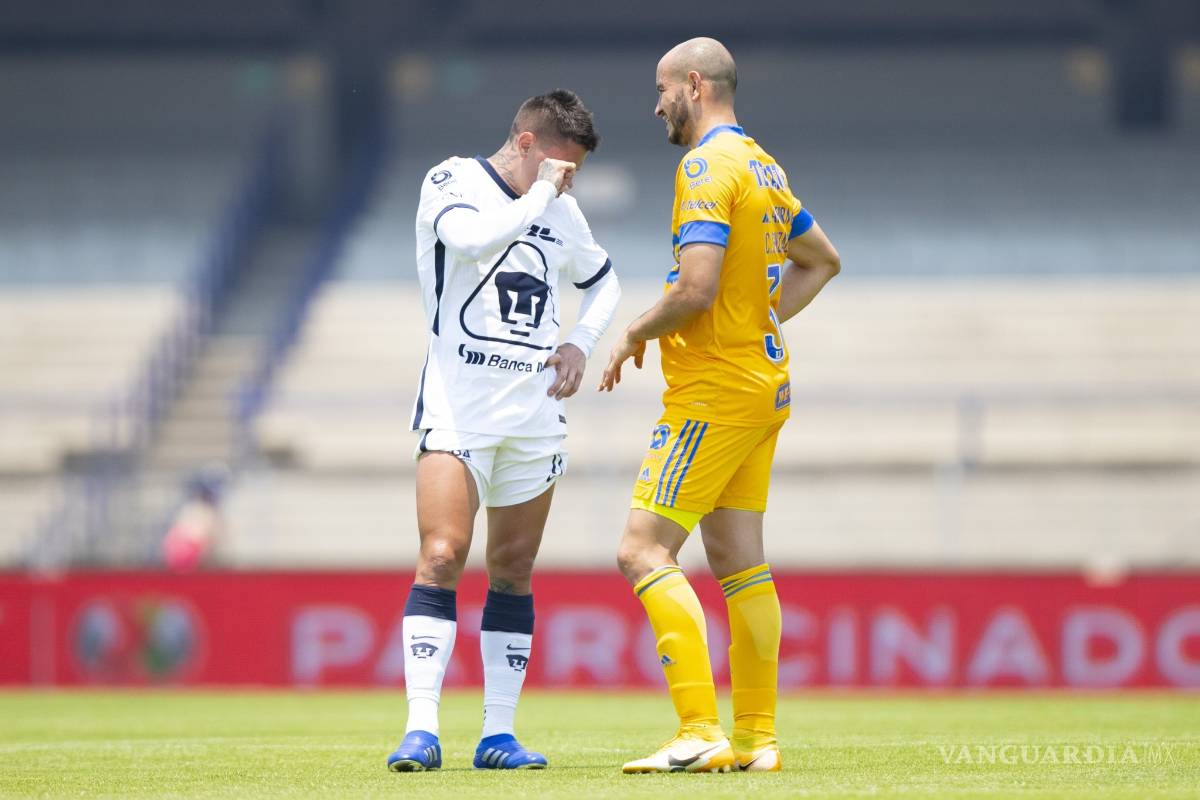 Felinos son inofensivos en CU