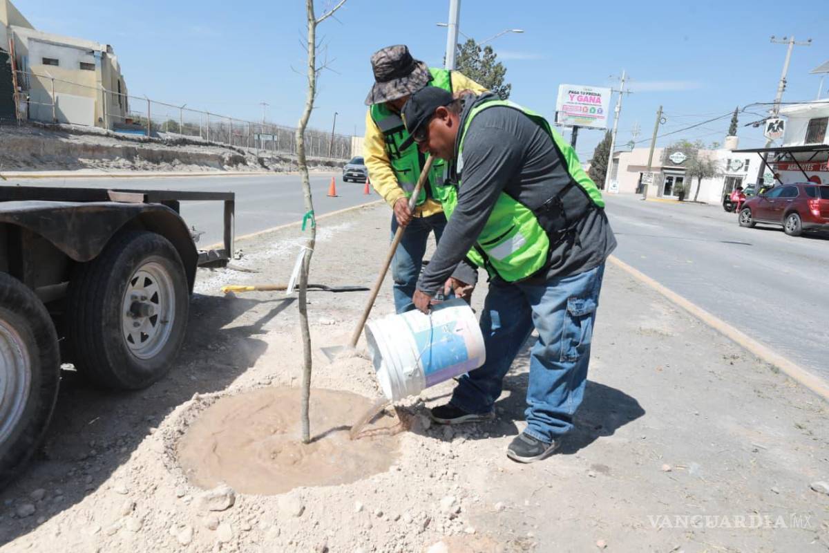$!Mejoran seguridad vial con rehabilitación de barreras y parapetos en Saltillo