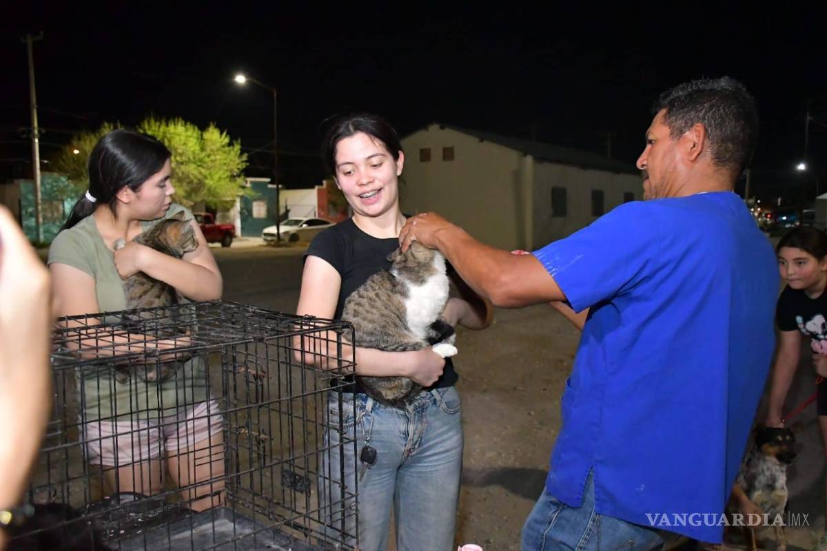 $!Entre los servicios brindados destacaron la aplicación de tratamiento contra pulgas y garrapatas y la desparasitación.