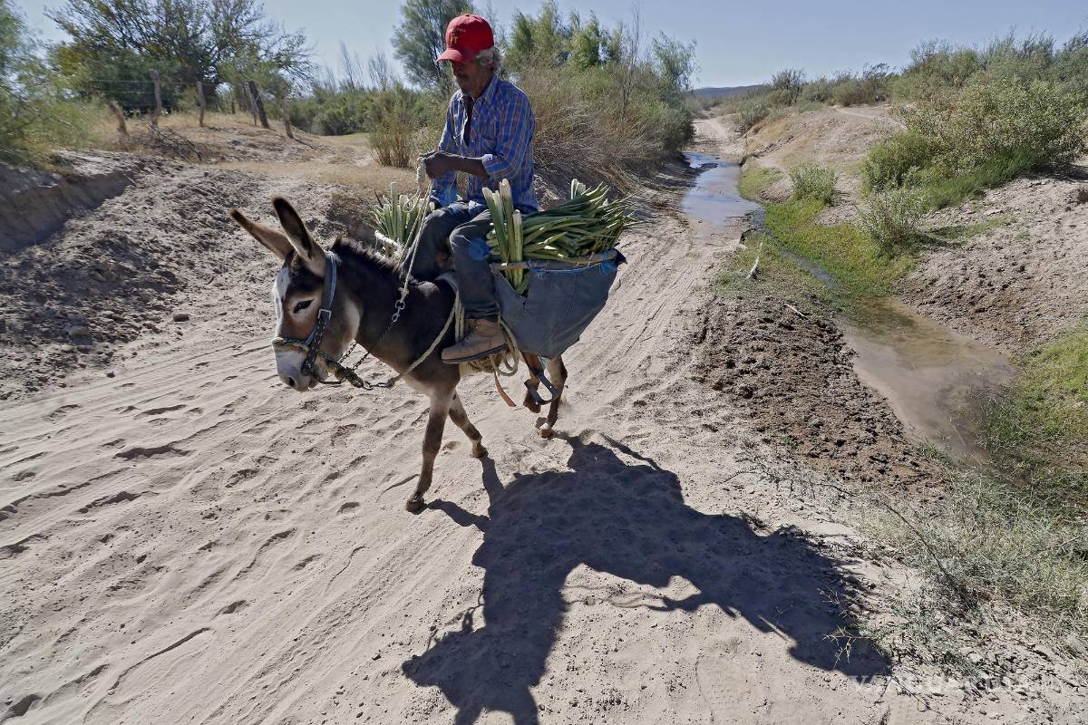$!Campo, sequía y omisión, secan acuífero de Coahuila