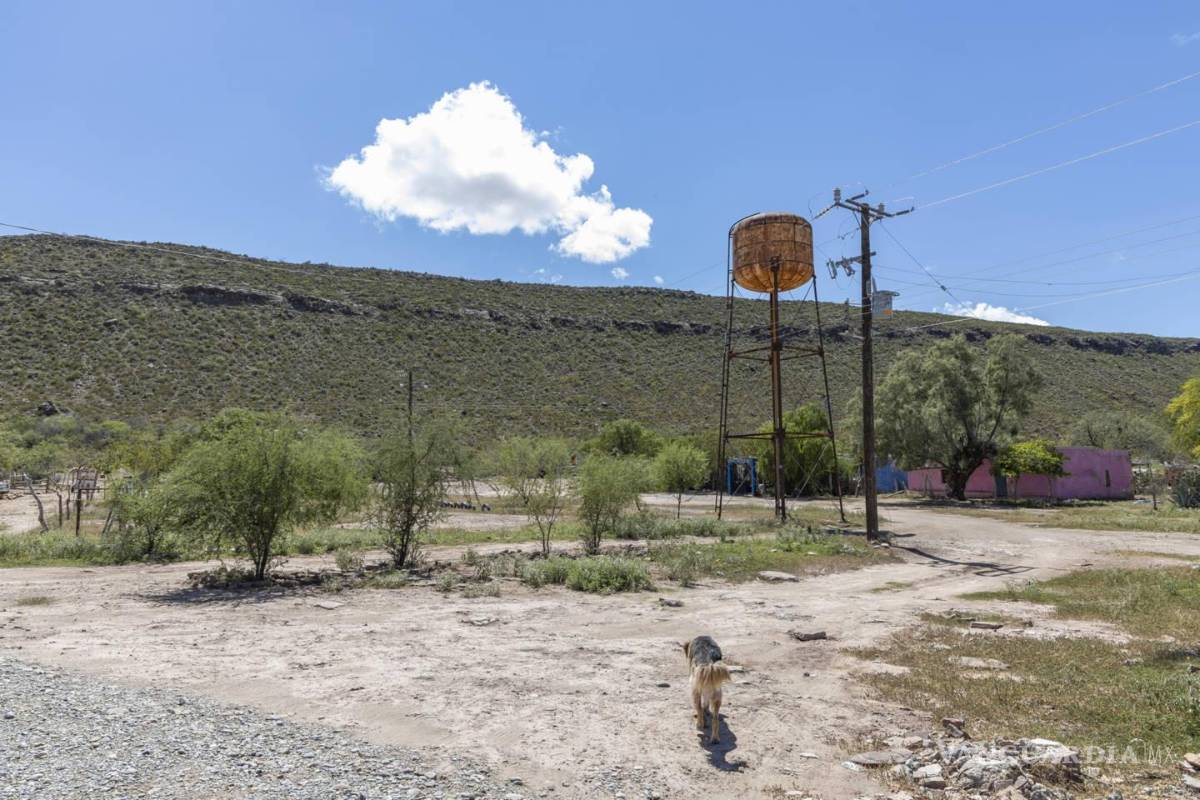 $!Ubicado a 40 kilómetros de la ciudad de General Cepeda, el ejido Narigua tiene el sitio arqueológico más importante de Coahuila, pero la falta de recursos evita que se convierta en un destino turístico.