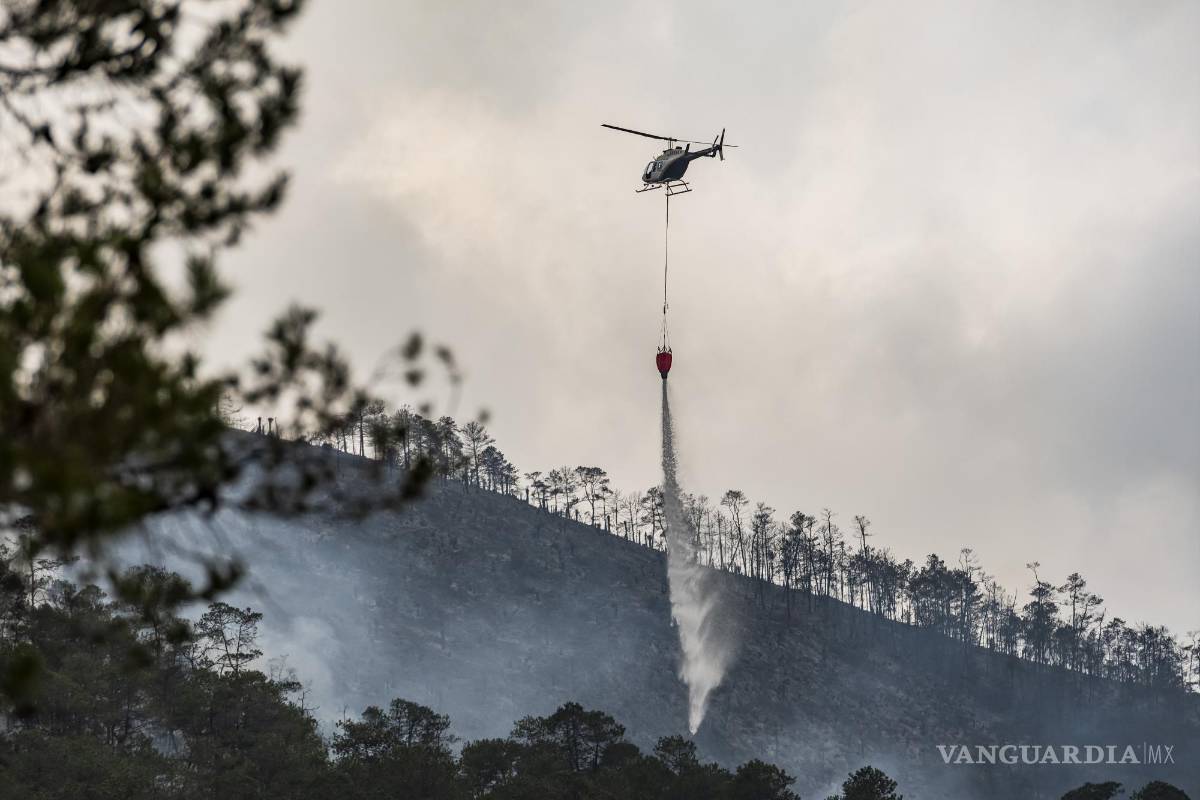 $!Diferentes grupos de brigadistas, voluntarios y elementos de corporaciones policiacas se encuentran trabajando en el ejido Sierra Hermosa, intentando controlar el incendio forestal que mantiene en alerta a las autoridades y pobladores por la cercanía de las llamas a el poblado.