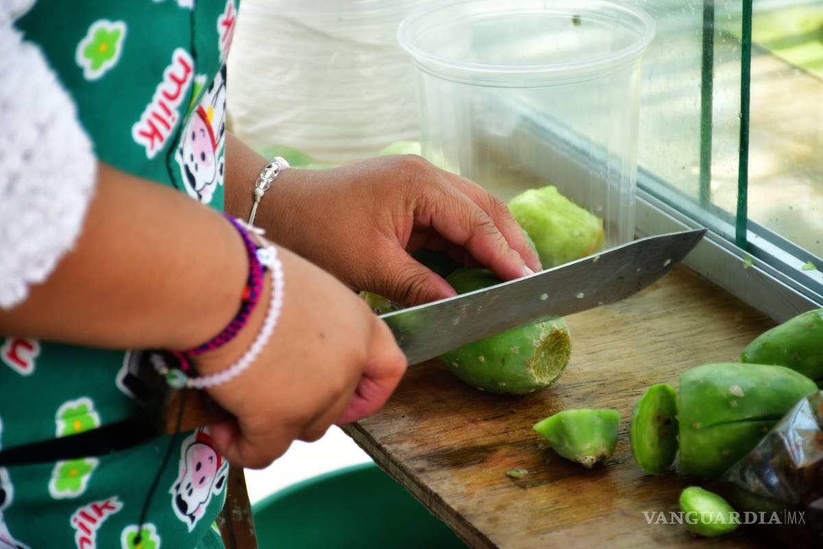 Chapulines y tunas en Saltillo: sabores del sur (Oaxaca) que conquistan el norte