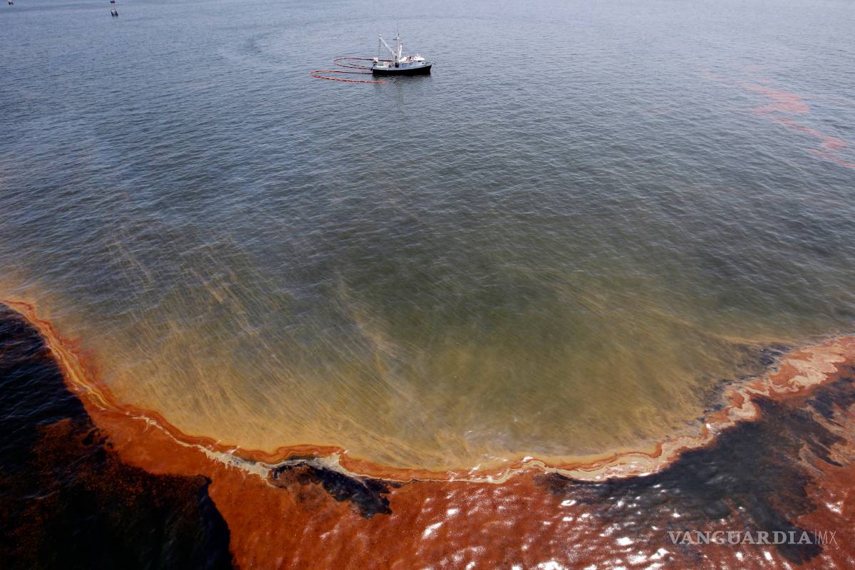 $!A 10 años de la explosión de la plataforma Deepwater Horizon la vida silvestre del Golfo de México sigue siendo afectada