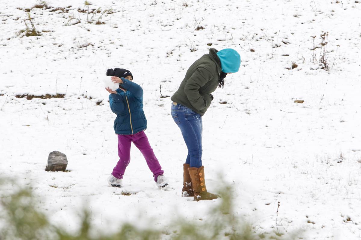 $!No, no es Suiza ¡es la sierra nevada de Arteaga, Coahuila! (Fotogalería)