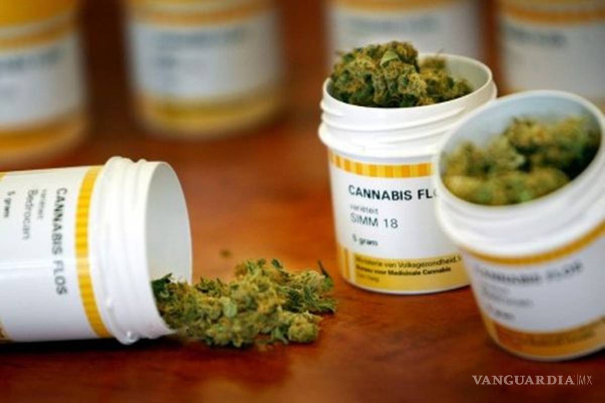 $!Senado aprueba uso medicinal de la mariguana