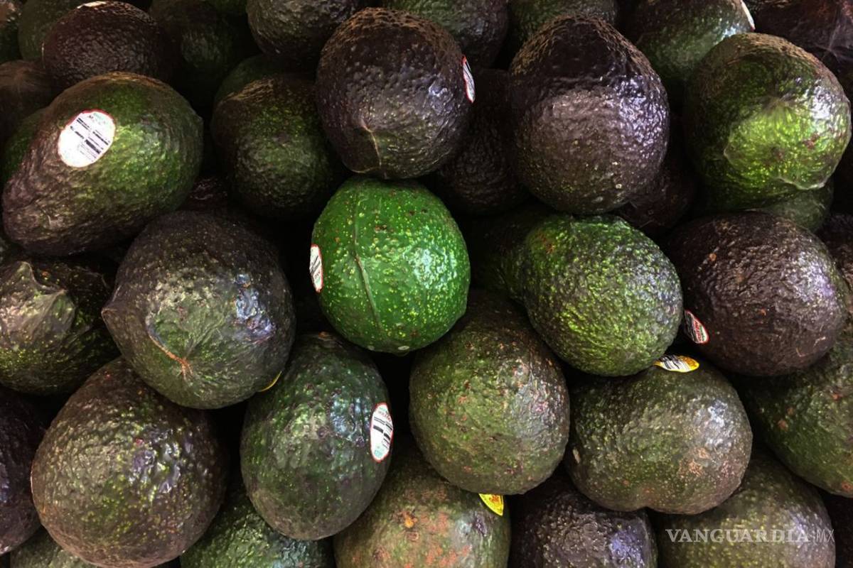 Kilo de aguacate se comercializa en 65 pesos en la CDMX