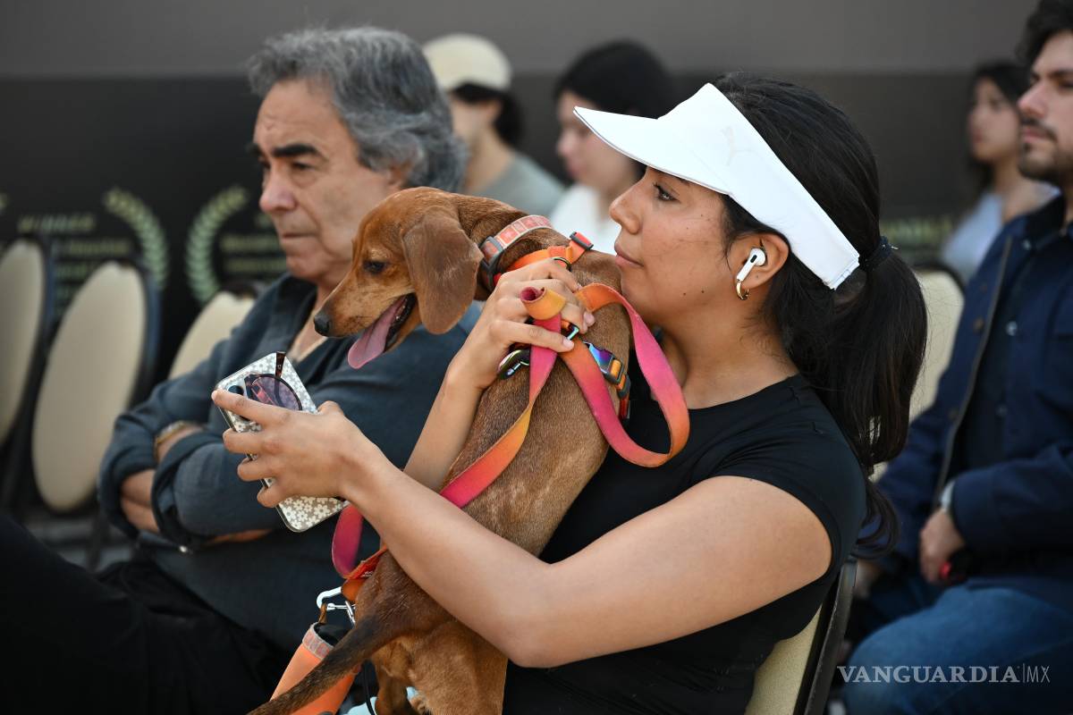 $!Adoptar implica responsabilidad, cuidados y compromiso durante toda la vida del animal.