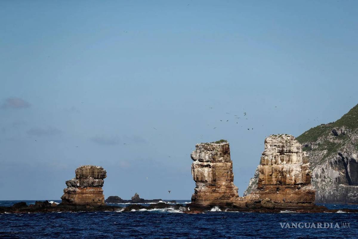 Informe de Copernicus precisa que la temperatura superficial del mar batió nuevos récords en 2023-2024