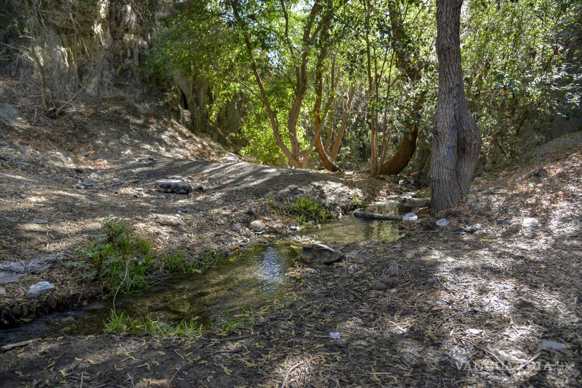 Alto grado de contaminación del Pozo Azul vuelve letal entorno para Carpita de Saltillo