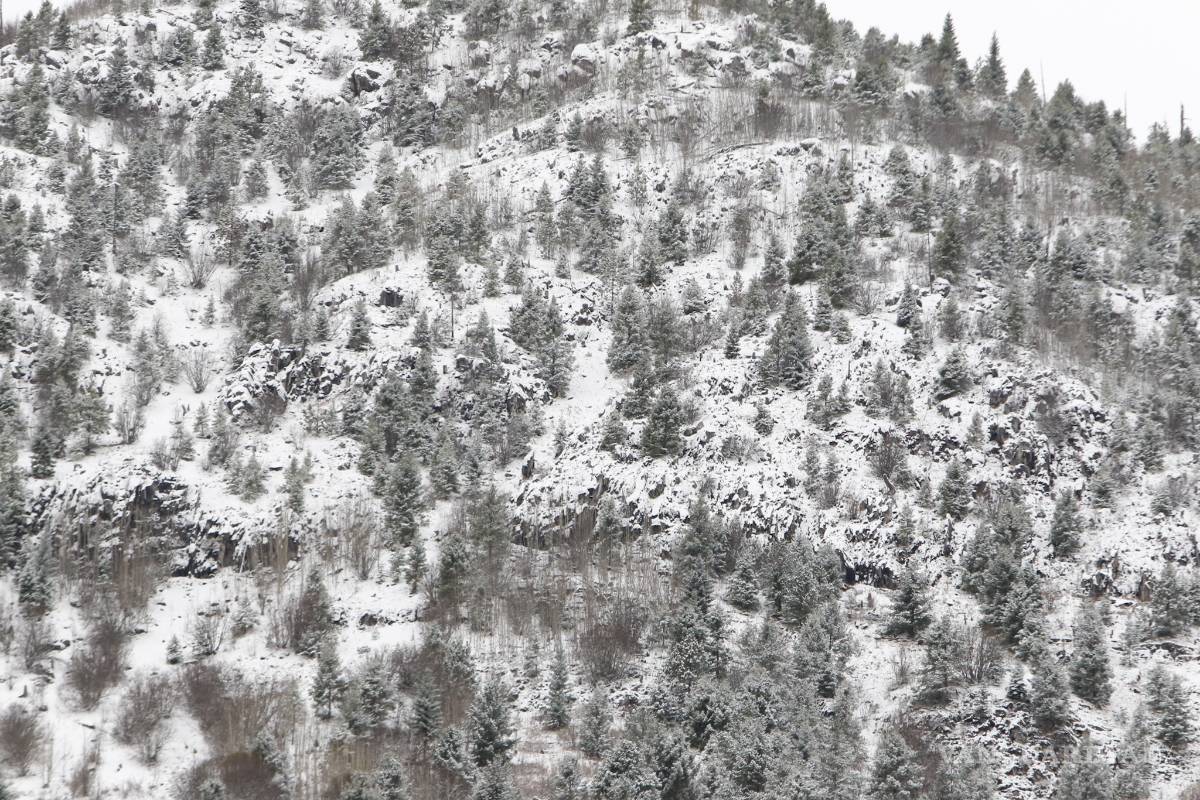 $!No, no es Suiza ¡es la sierra nevada de Arteaga, Coahuila! (Fotogalería)